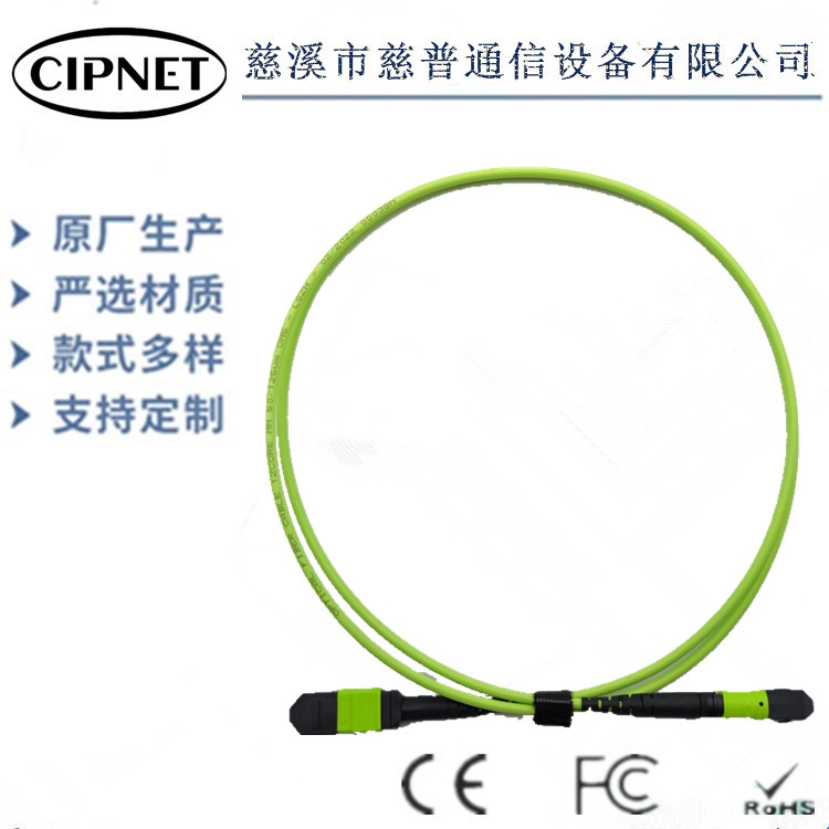 国外供应24芯MPO/PC-MPO/PC万兆多模(OM3)主干光缆(母头-母头)铠装跳线CIPNET