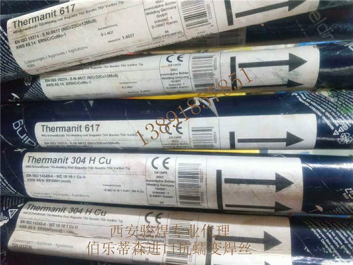 Thermanit 304H Cuں˿